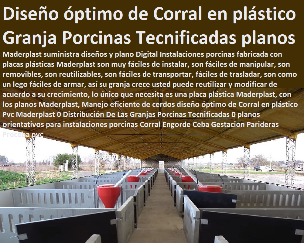 Manejo eficiente de cerdos diseño óptimo de Corral en plástico Pvc Maderplast 0 Distribución De Las Granjas Porcinas Tecnificadas 0 planos orientativos para instalaciones porcinas Corral Engorde porcicultura jaulas, corrales, parideras, porcinas corral, gestación cerdas, parto cerda, lechonera, destete, jaula pre ceba porcinos, corraleja, ceba, engorde cerdos, porqueriza cría de lechones, pisos jaulas comederos, Ceba Gestacion Parideras Preceba pvc Manejo eficiente de cerdos diseño óptimo de Corral en plástico Pvc Maderplast 0 Distribución De Las Granjas Porcinas Tecnificadas 0 planos orientativos para instalaciones porcinas Corral Engorde Ceba Gestacion Parideras Preceba pvc